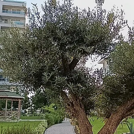 Arcadia Homes Avsallar Апартаменти